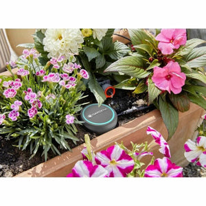 V5HE46031683CA48BA8FAC939146AA2CD25R4611819P2