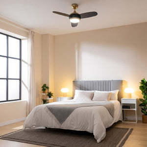 V6H403BF70BC6D1EA24433FE9CC5A603E9BR5176009P3