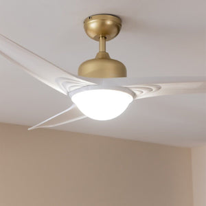 V6H82D2818AAB96534D970EFFC0090B078FR5322090P2