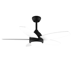 V6H091E15CF8E8D409B900D5B652C0B7DFER7402679P1