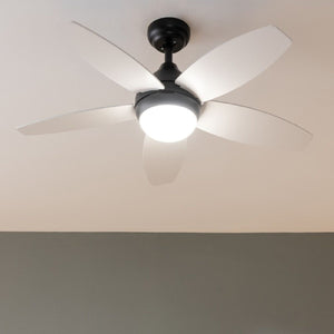 V6H25F469E055A0500601E6359ED0A6E5AER7402683P2