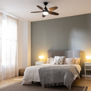 V6HCC265CF8695FD11B058828EAD84AFCC2R5321969P4