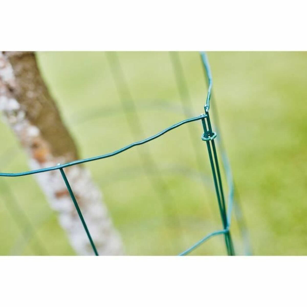 V6H78E7B0B7986E569F8656240F5355CC8AR7363928P4