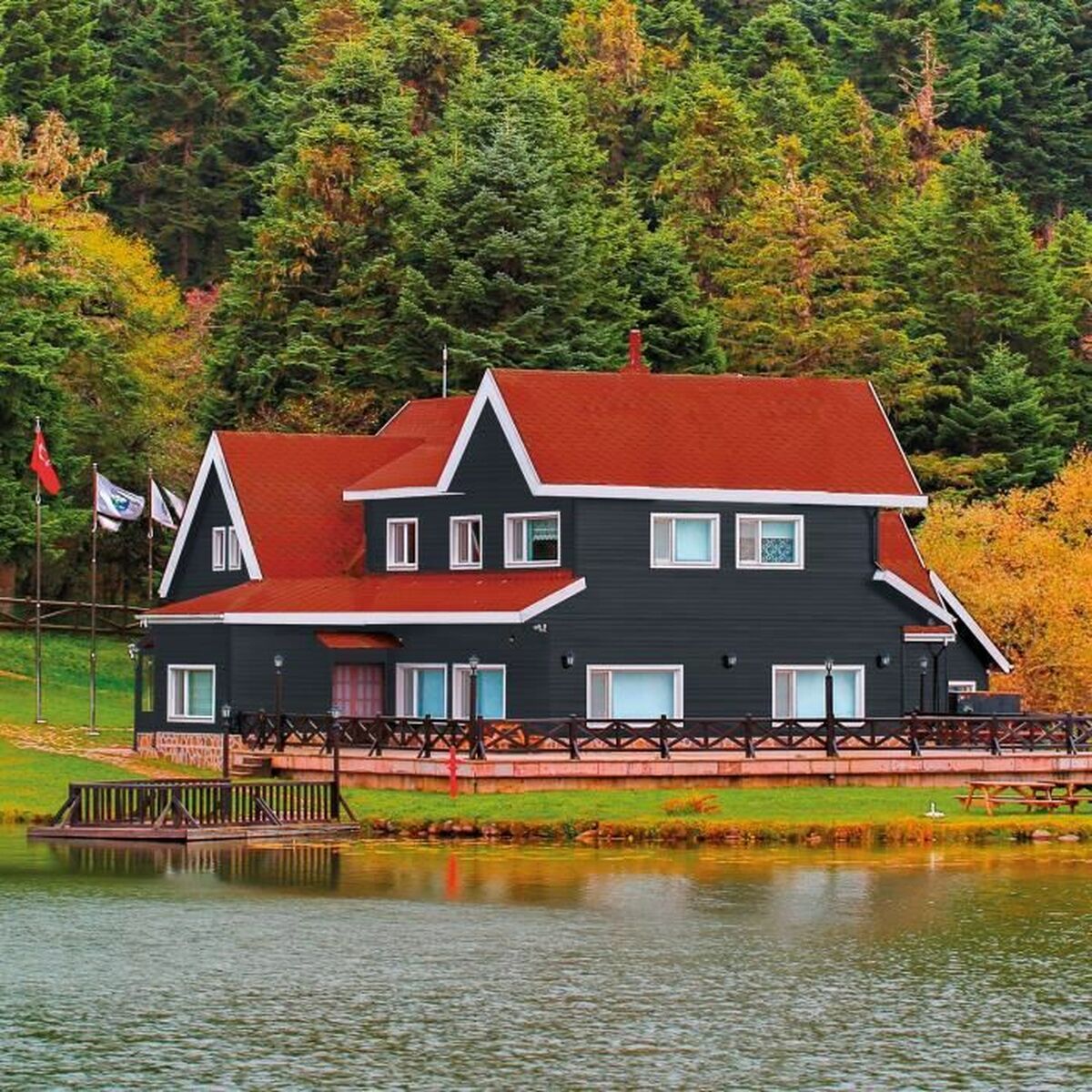 V8HC5202997BEFD10D542264230D4580C4DR7370498P3