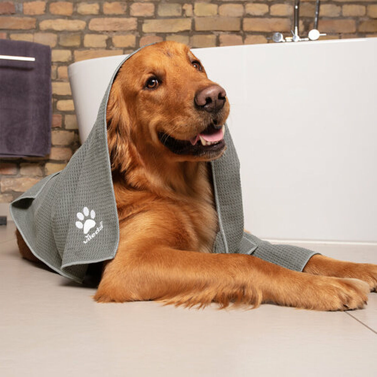 V7H9FE379851F001541362BC685DC9A4B36R7463264P10