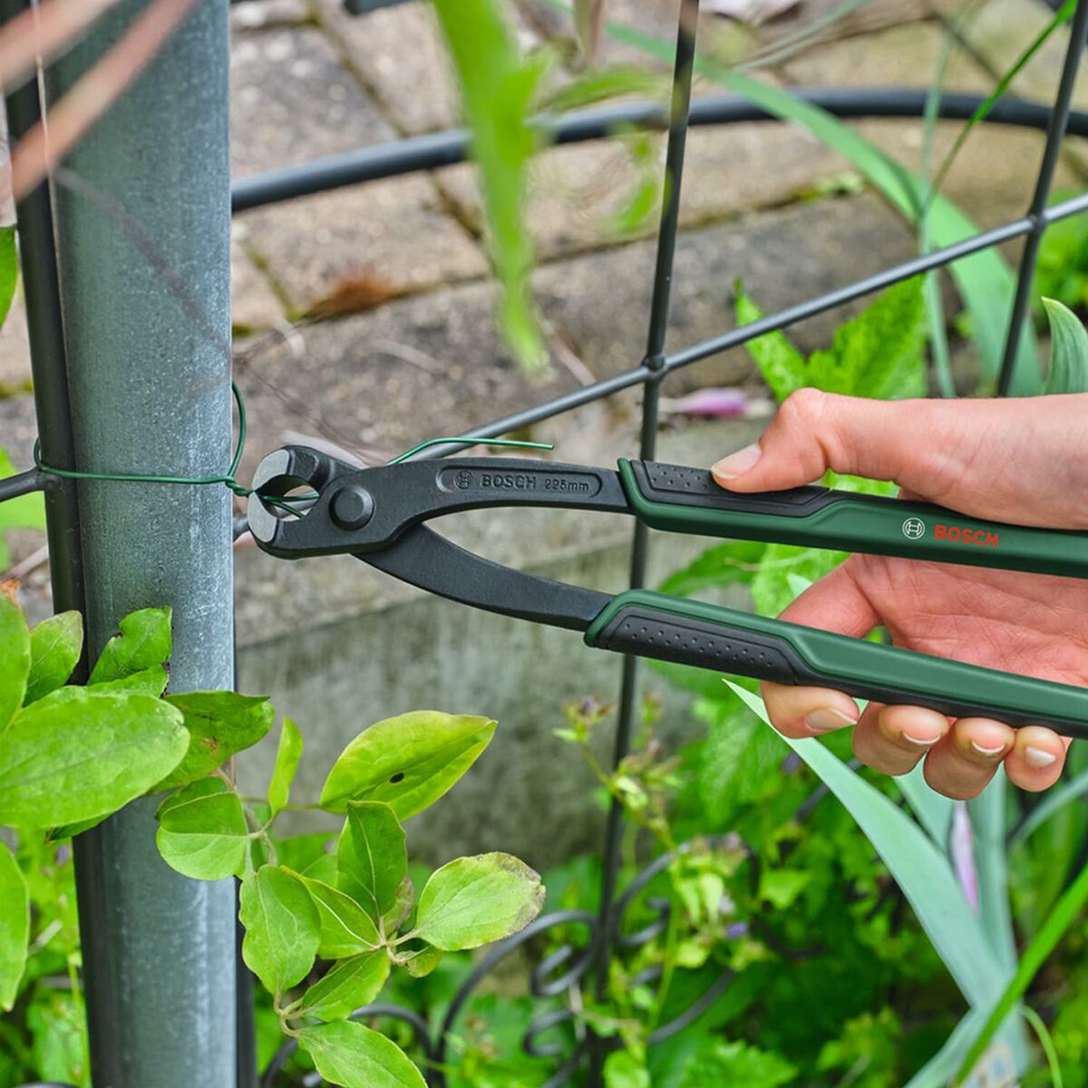 V6H734A6D0FB259AACBF1AE68C34E7C27B1R5503463P2