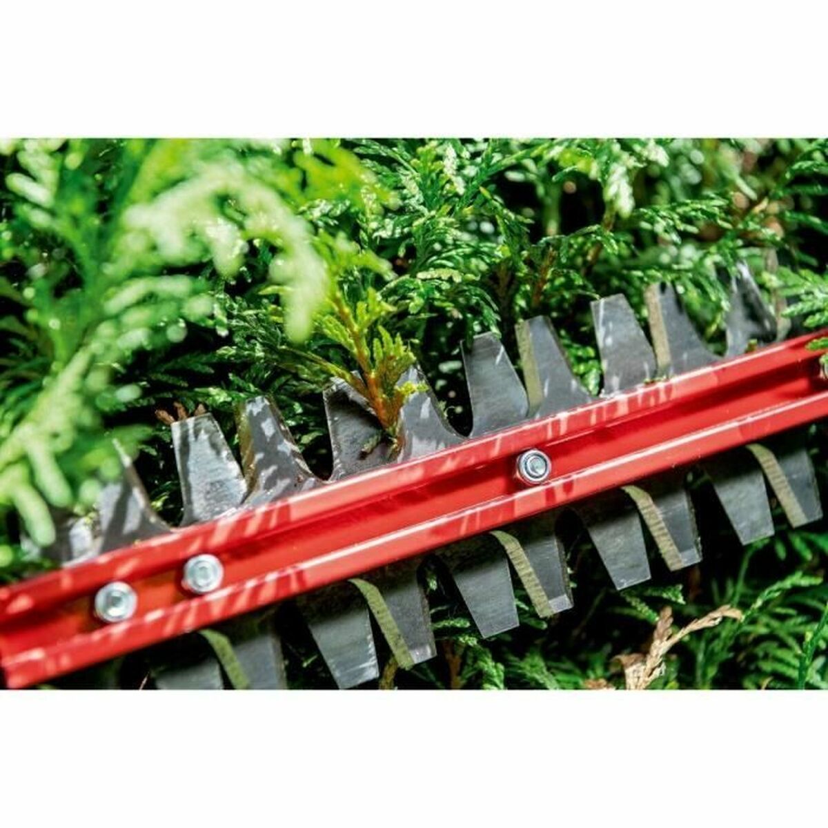 V7H56E9E1900B531AEBF5C660F775A499C9R7254744P3