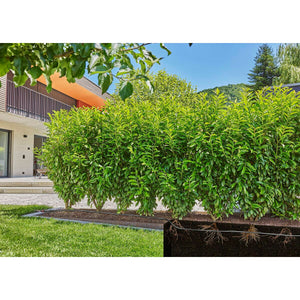 V6H30C85A8C5A955AFBC329AD48012846B2R7162843P8