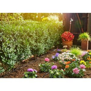 V6H9FF920ED9A1D737349CC7FBFF1C36C41R7162888P7