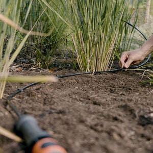 V6H8F6BBE86D8F2DBD9946050D5A0431DBDR7162883P3