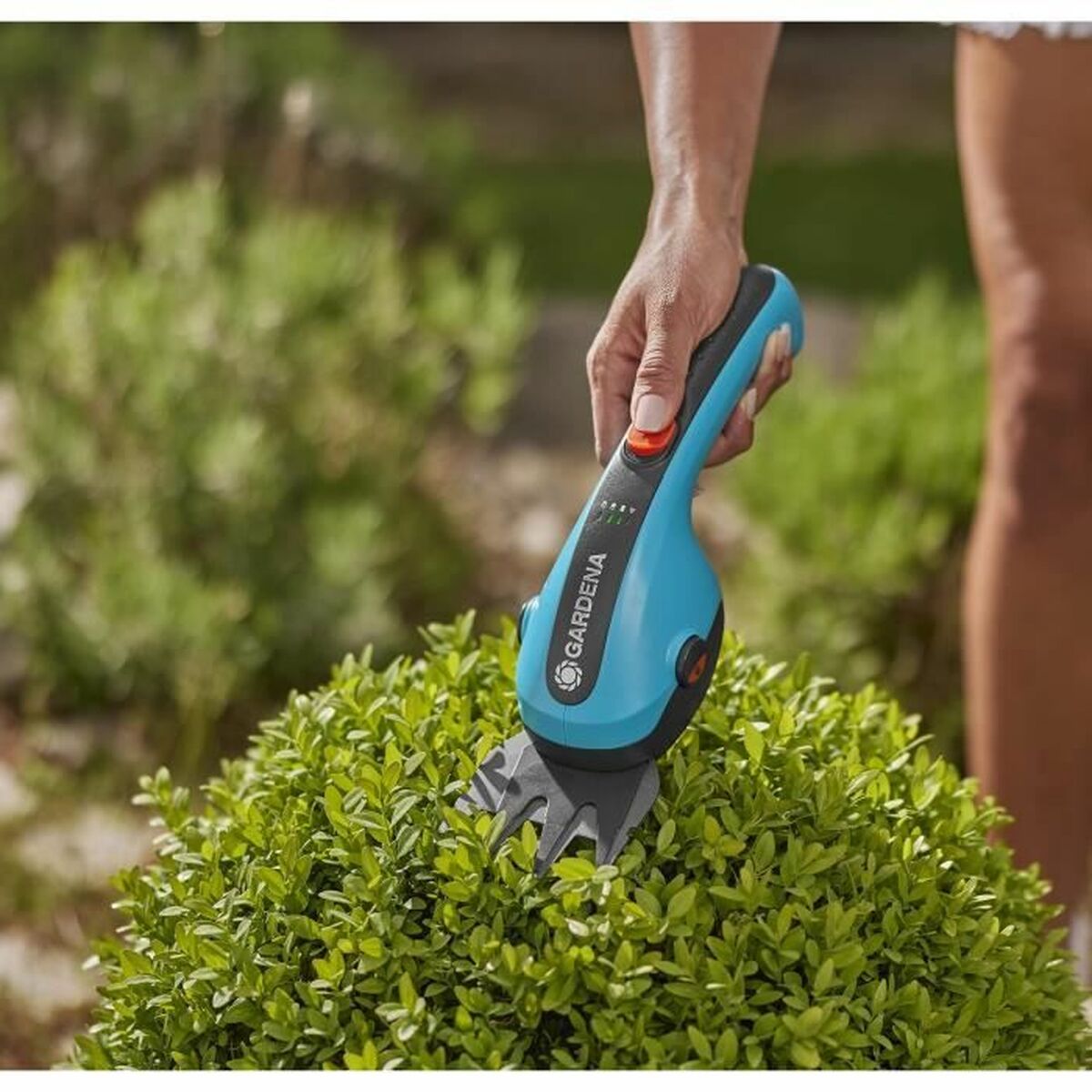 V10H823E1943E1ED61487FDD27FB91979817R6180039P8