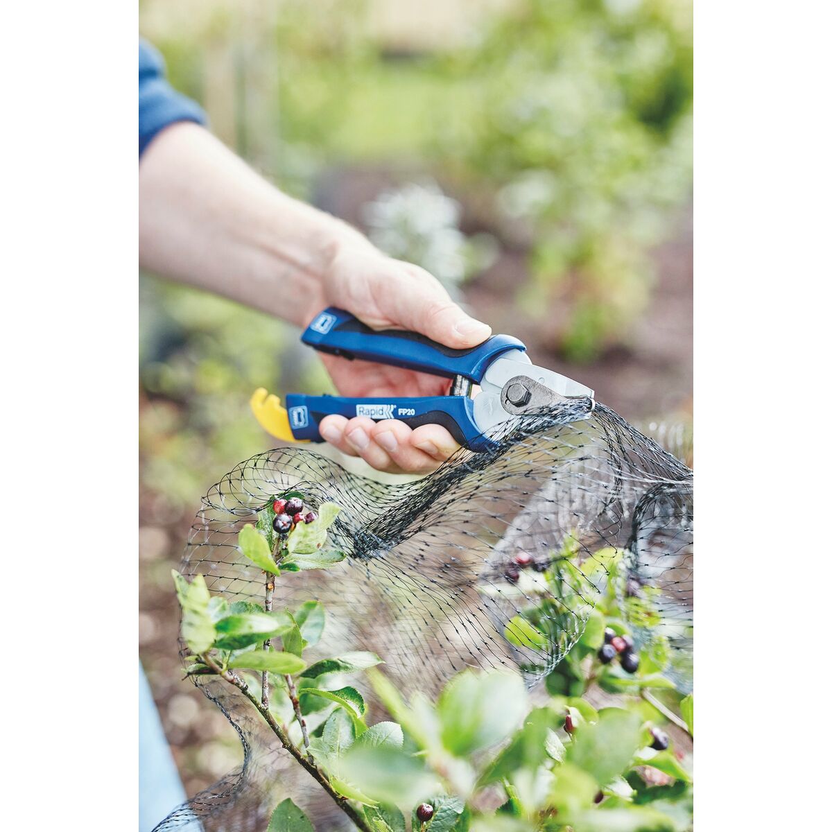 V5H2E525B7B7E0502A4387908B32876BB57R5758893P10