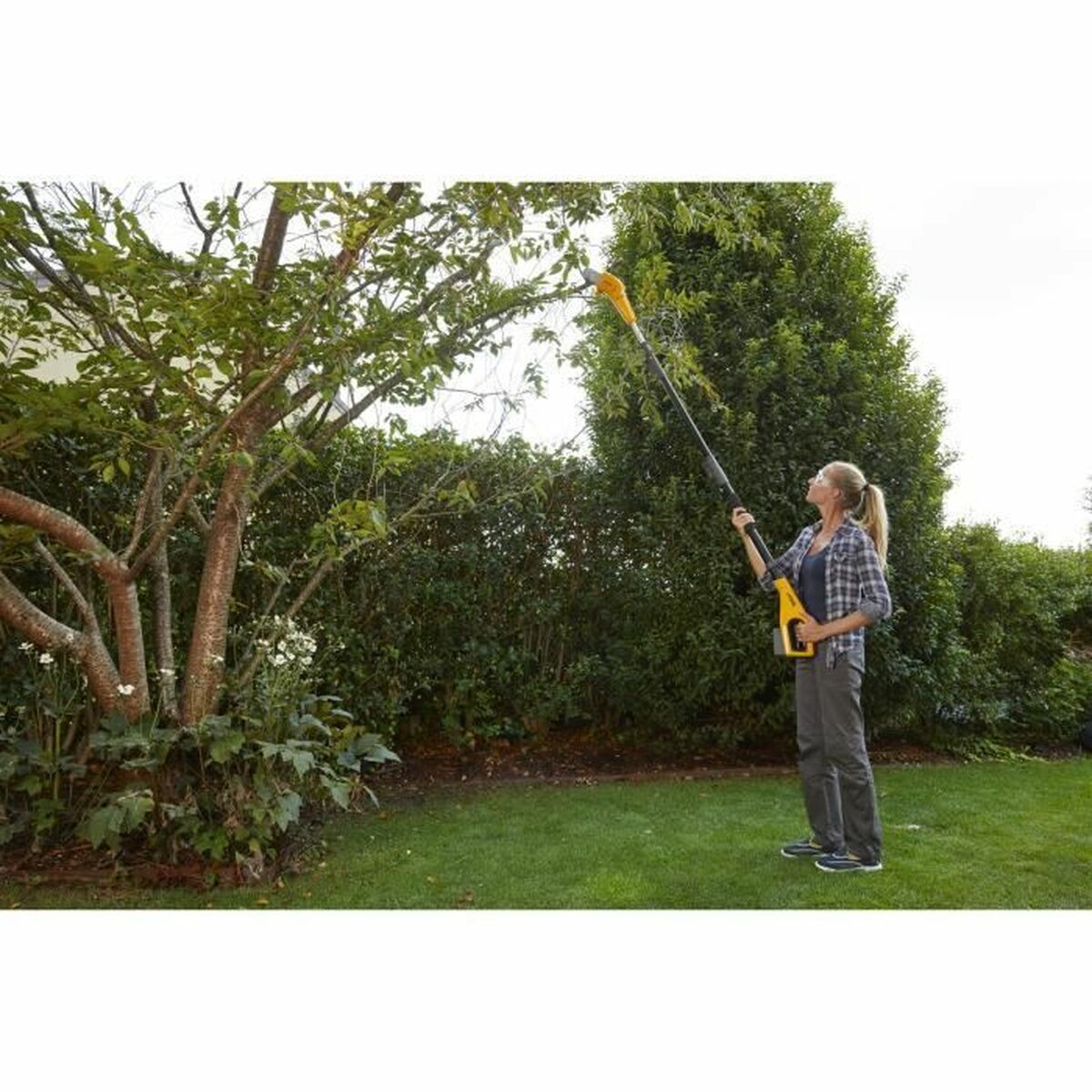 V7HEDA79D0287129CF92D21DA3181F4A26FR7106234P6