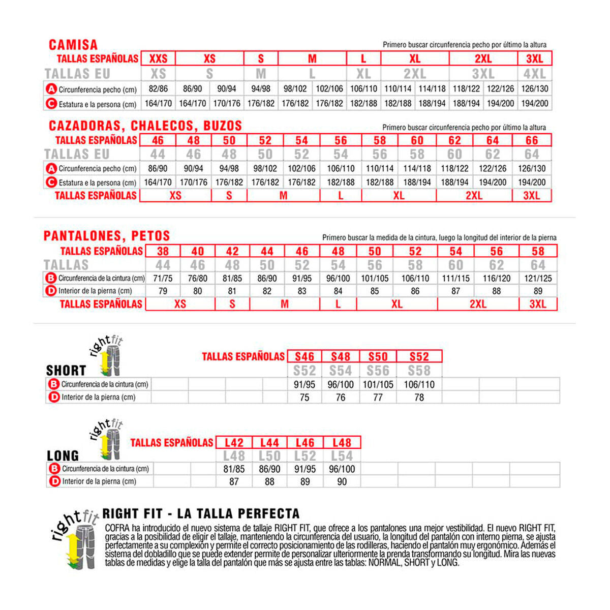 V11H8C9ECB71A3C2DBDA30DD4504566A97CAR4771881P2