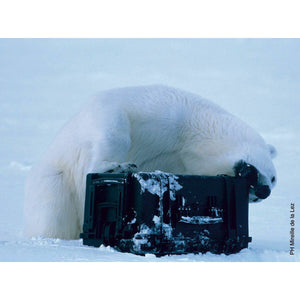 V4H8540548E4A97F62ECF51BD17CCD53EDER7121723P5