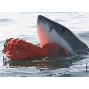 V4H87EC95624924A558270C4CE4E442FFA1R7121724P6