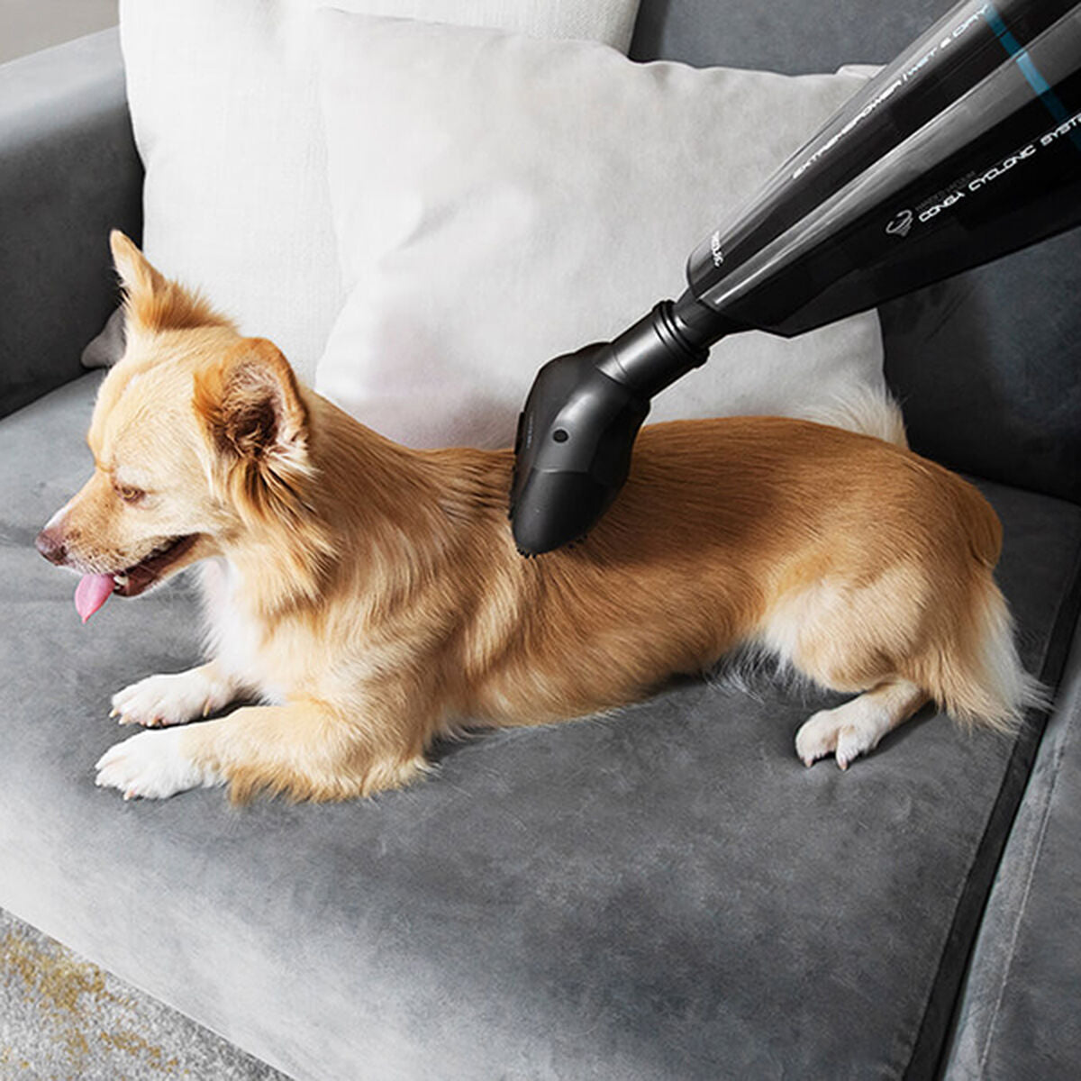 V12H8884031009D3BB57D4BB5C81050051FFR3217402P6