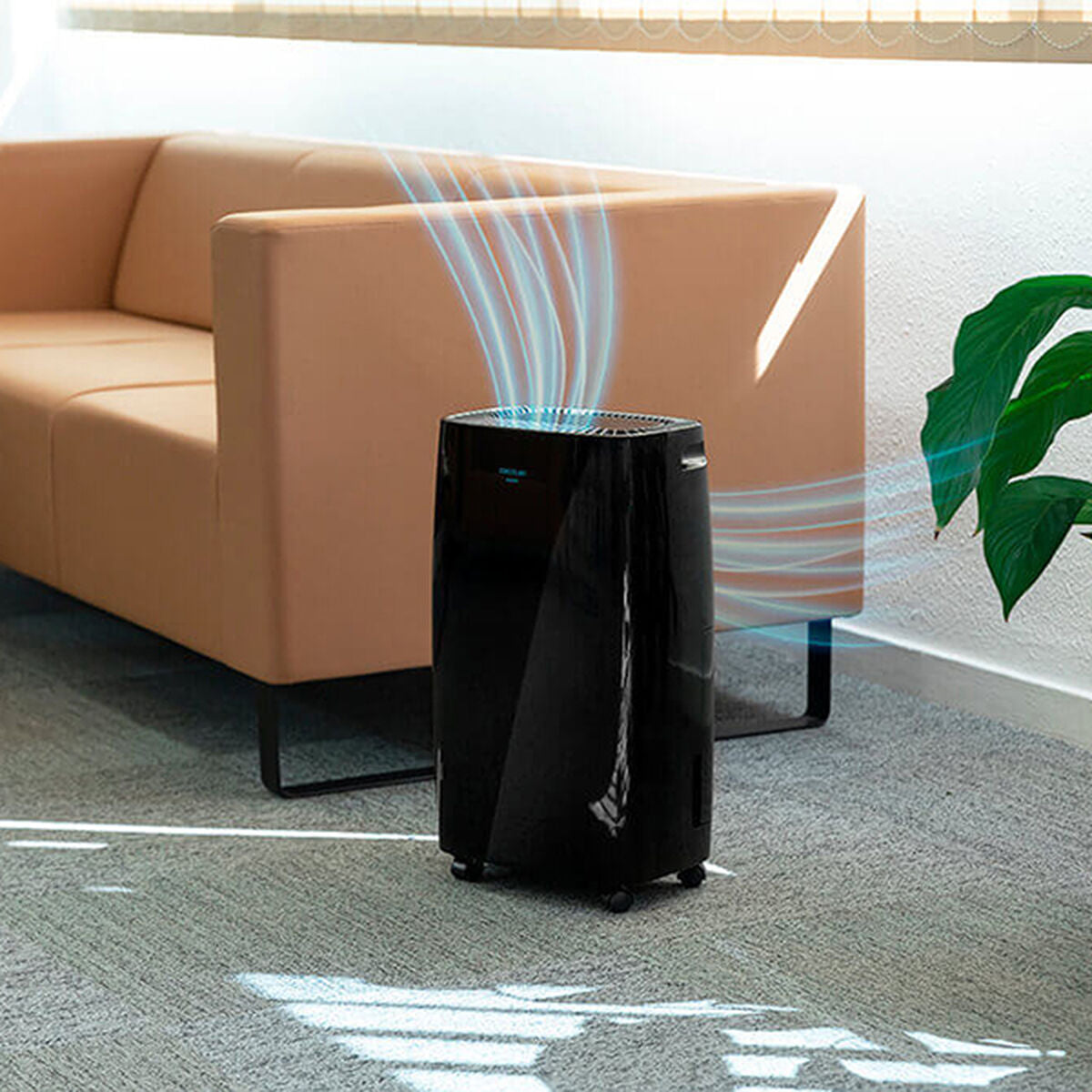 V11H6074F6FEE3BE84003EB8319C243B3F62R3251635P1