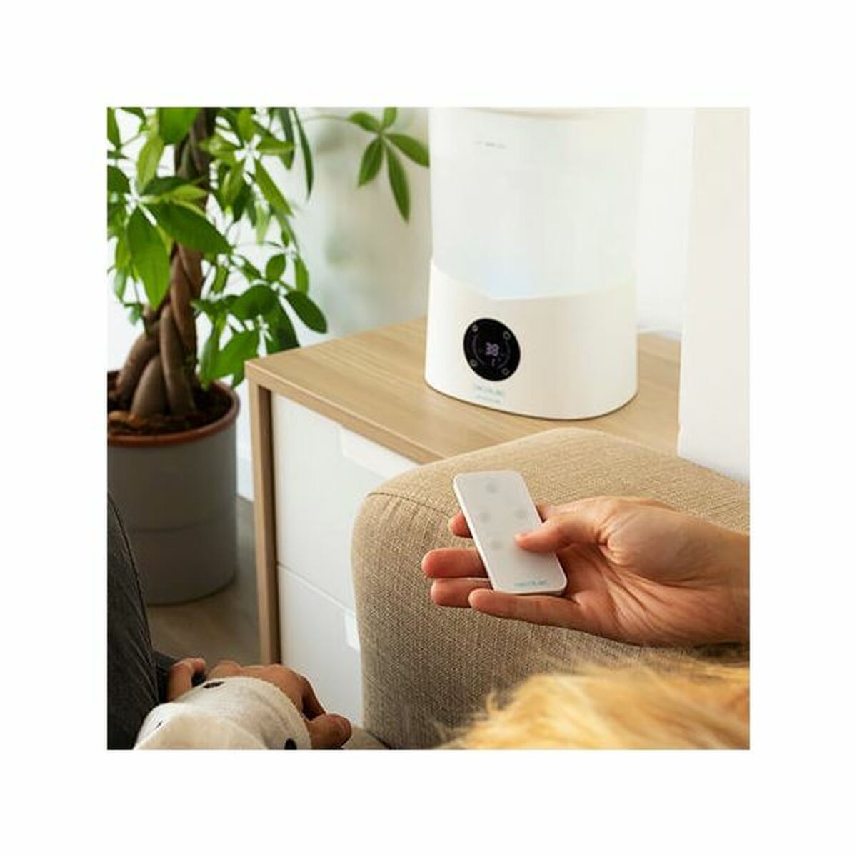 V13H6126D2D7A7286A14EA3BED9F540F9D15R3218377P5