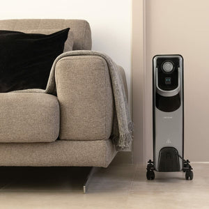 V11H7A72CD2E78DD816B2F7C1EF06AB7703FR7717867P2