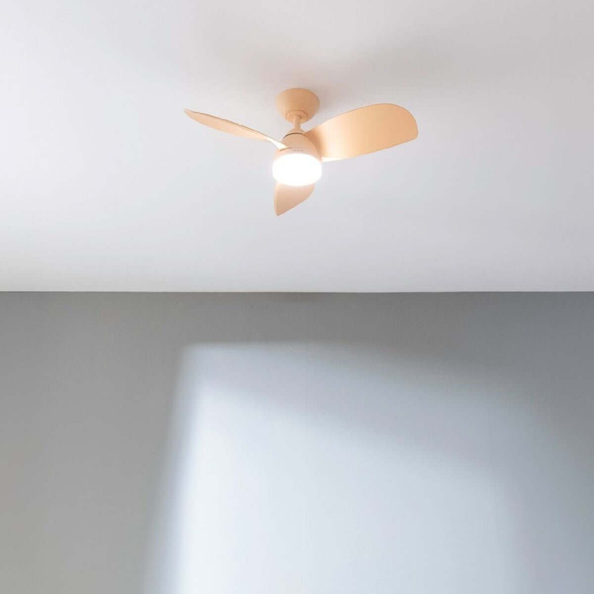 V4H1B1BBD94A4E6E9A877F0202FA0474281R6855429P2