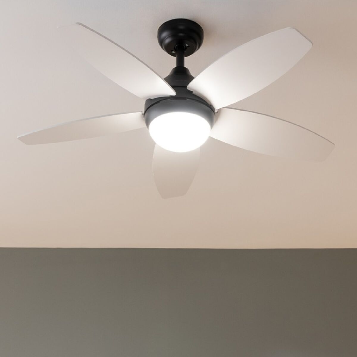 V6H25F469E055A0500601E6359ED0A6E5AER7402683P2