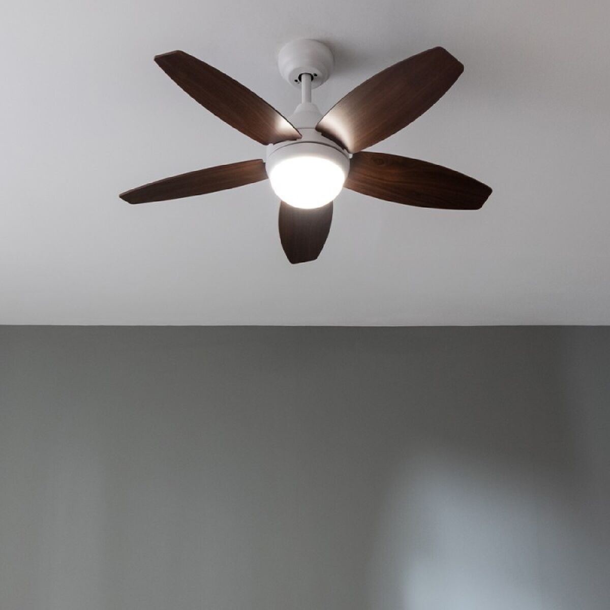 V6H1A537D549A042AADFA9A9609F71250D0R5322016P2