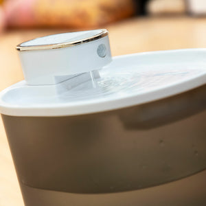 V10HA31493DF9E3267C1986494659F1DAE1BR5279735P2