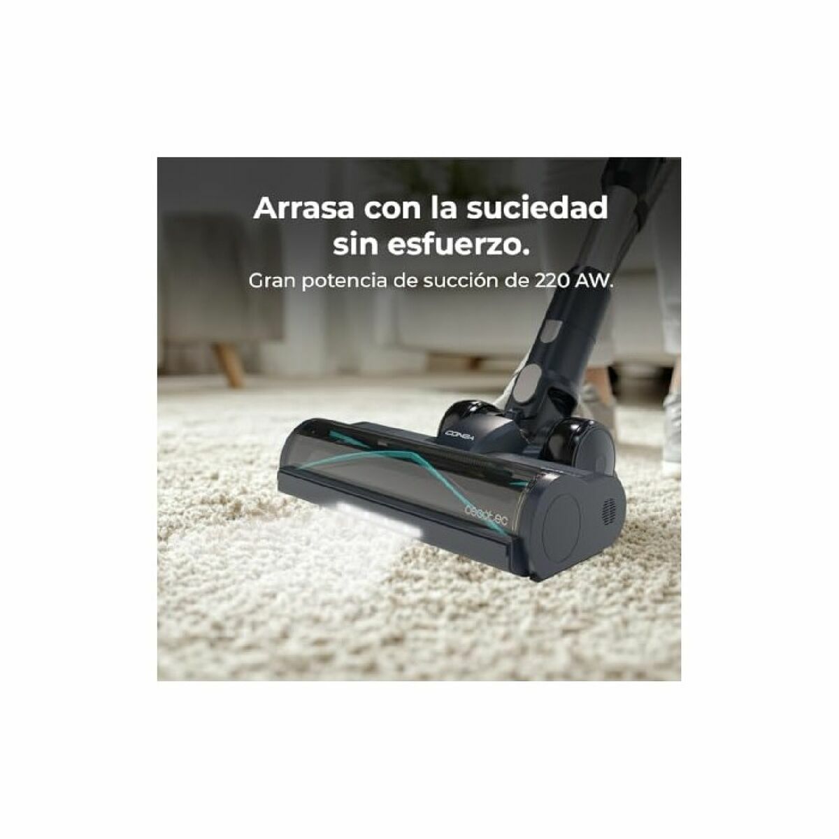 V4HD0E6D1BEB84F50ECD5DBE31921442168R5578622P2