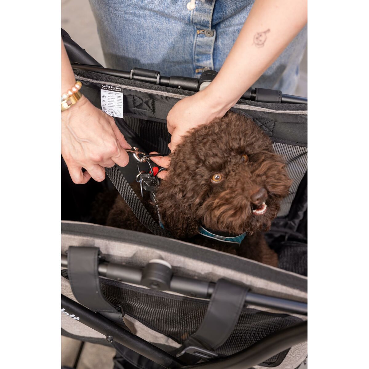 V4HAE2BF44DE0E8CBF2900F55603A1654E0R6716261P5