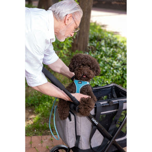 V4H7A630081A22F85A342C38BD4920AF22AR6716266P4