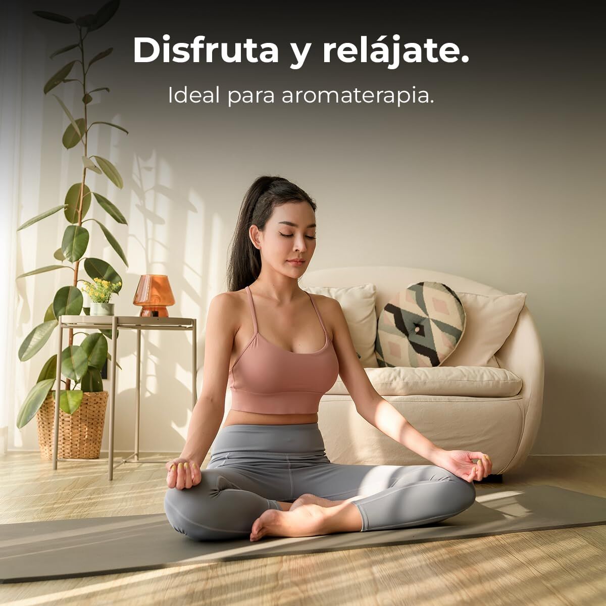 V2H0C448ABF47323A7F94B7C810D0040209R7648579P5